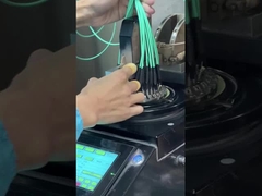 12 फाइबर OM3 10Gig MTP MPO केबल, ट्रंक केबल MPO - MPO 12 F.O. OM3 15 Mts