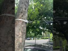 FTTH ऑप्टिकल फाइबर सस्पेंशन डेड एंड केबल एंकर क्लैंप ADSS केबल 8-12mm के लिए